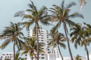 Miami eco hotels