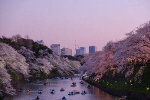 Tokyo eco hotels