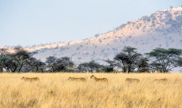 Serengeti National Park